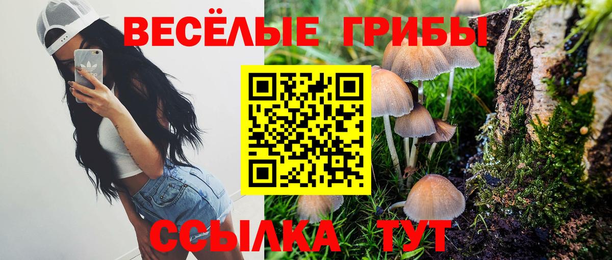 где найти наркотики  Вход с VPN  Набережные Челны  Псилоцибиновые грибы Magic Shrooms 